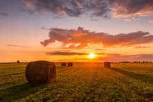 A Field With Haystacks On A Summer Or Early Autumn Evening With A Cloudy Sky In The Background. Procurement Of Animal Feed In Agriculture. Landscape. Sunset.