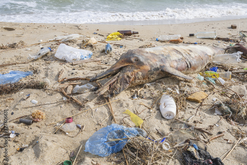 Dolphin thrown out by the waves lies on the beach is surrounded by plastic garbage. Bottles, bags and other plastic debris near is dead dolphin on sandy beach. Plastic pollution killing marine animals