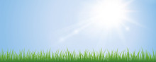 Sunny Sky And Green Meadow Background With Copy Space Vector Illustration EPS10