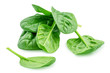 Heap of baby spinach leaves isolated on white background. Fresh green spinach.  Top view