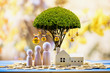 © Watchara - Home model and family put on the stack gold coin with growing as money bag of tree with interest value in the public park, Saving money or loan for business investment of real estate concept.