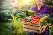 © Milan - Farmer woman holding wooden box full of fresh raw vegetables. Basket with vegetable (cabbage, carrots, cucumbers, radish, corn, garlic and peppers) in the hands.
