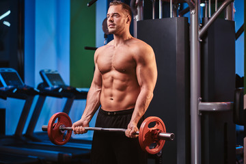 Wall Mural - Fit mucular bodybuilder doing weightlifts with barbell in a modern fitness center looking concentrated