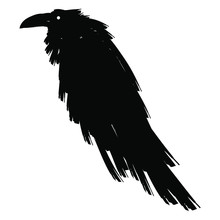 Big Black Raven. Black Bird Crow Silhouette Isolated On A White Background. Stock Vector Illustration.