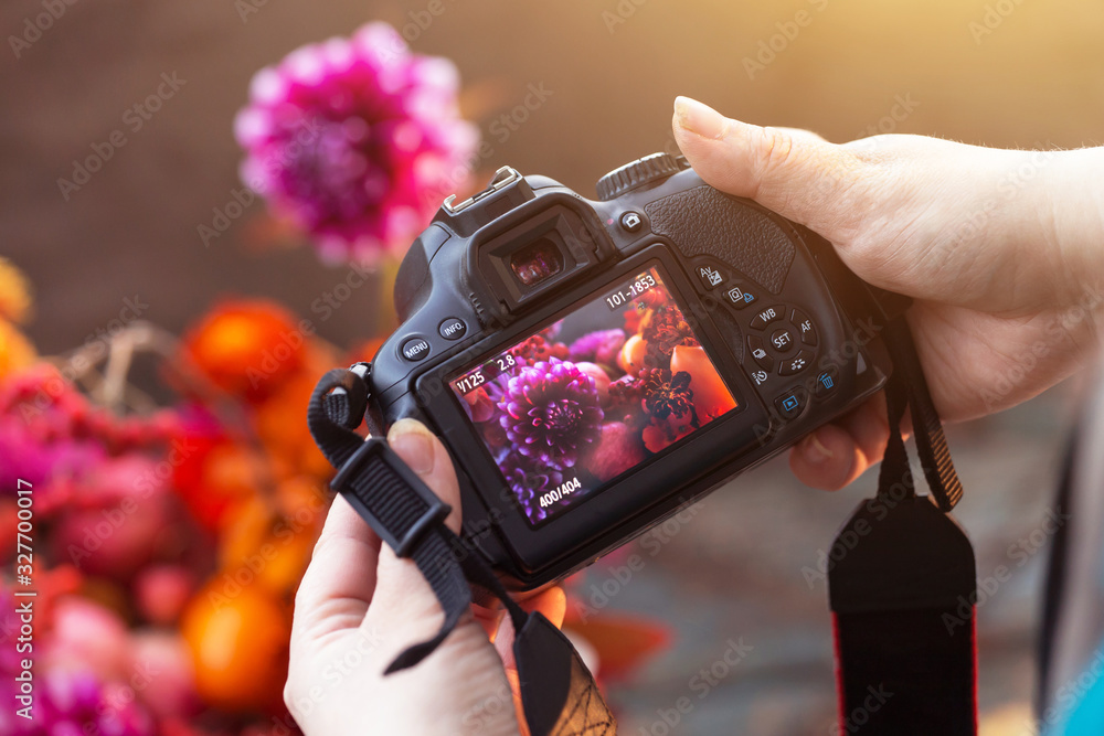 Camera on hands closeup. Making nature photo and video with flowers - obrazy, fototapety, plakaty 