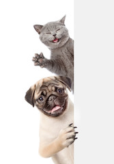 Aufkleber - Сat and dog look behinde empty white banner. isolated on white background. Empty space for etxt