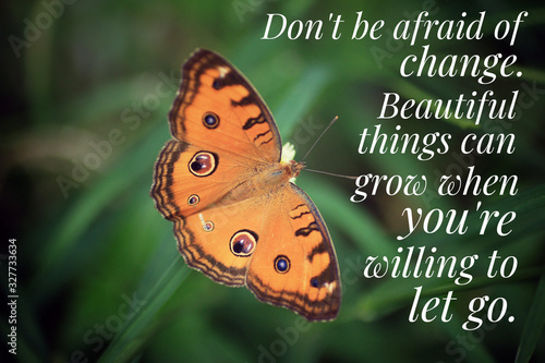 Inspirational quote - Do not be afraid of change. Beautiful things can grow when you are willing to let go. With beautiful orange butterfly on green grass background.