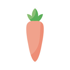 Poster - Isolated carrot vegetable flat style icon vector design