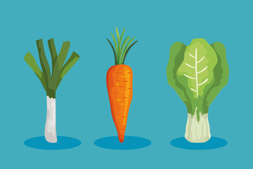 Sticker - set of fresh and healthy vegetables vector illustration design