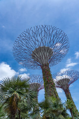 Sticker - The super trees at the gardens by the bay