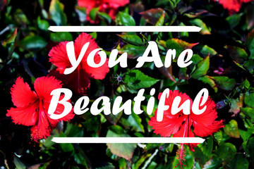 Wall Mural - Inspirational quote on a natural landscape background. You are beautiful.