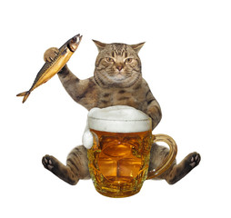 The beige cat is eating a smoked fish and drinking beer from a mug. White background. Isolated.