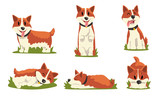 Fototapeta Pokój dzieciecy - Collection of Cute Dog in Everyday Activities, Cute Pet Animal in Various Poses Vector Illustration on White Background