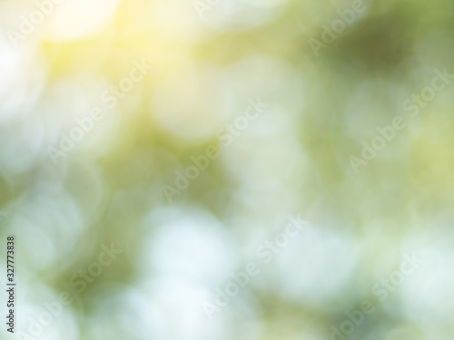 Fotomural Natural outdoors bokeh background in green and yellow tones, Blurred green tree