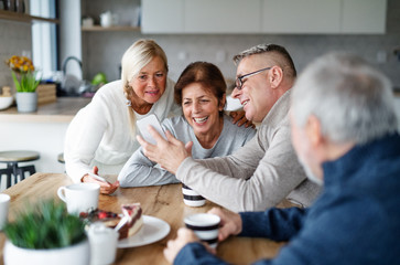 Group of senior friends at home, taking selfie.