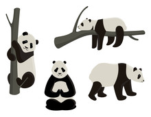 Vector Set Of Pandas In Different Poses. Cartoon Style Illustrations Isolated On White Background.
