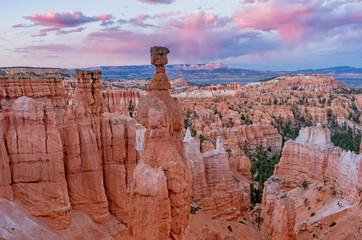 Wall Mural - beautiful landscape of bryce canyon, utah, usa