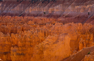 Wall Mural - bryce canyon national park, utah. usa