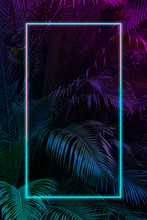 Tropical Leaves With Neon Frame For Background, Palm Leaves In Blue And Purple Gradient