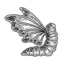 Caterpillar With Butterfly Wings Sketch Engraving Vector Illustration. T-shirt Apparel Print Design. Scratch Board Imitation. Black And White Hand Drawn Image.