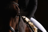 Dressage horse with rider in LowKey technique, close-up of the horse's head in the eye cutout, but you can still see a section of the rider in the focus. Right side still space for text..