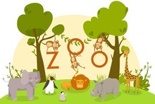 Zoo Animals, Cute Cartoon Characters, Lion, Monkeys And Penguins, Vector Illustration. Exotic African Animals, Rhino, Elephant And Giraffe In Zoo. Tropical Fauna Of Jungles And Savannah, Booklet Cover