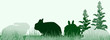 rabbits in grass on green background