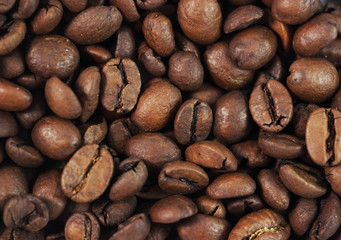 coffee beans background