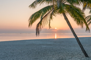 Wall Mural - romantic sunset on a tropical island in the south sea