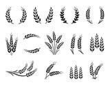 Fototapeta  - Wheat wreaths and grain spikes set icons