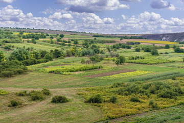 Canvas Print - Valley with fields seen from trail in Old Orhei - Orheiul Vechi natural and historical complex near Trebujeni village, Moldova