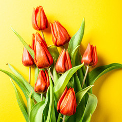 Wall Mural - Yellow background with orange tulips, Easter. Birthday, mother day greeting card concept with copy space. Top view, flat lay.