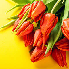 Wall Mural - Orange tulips over yellow background, Easter. Birthday, mother day greeting card concept with copy space.