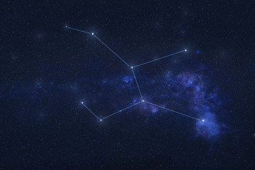 Wall Mural - lepus constellation in outer space. hare constellation stars with constellation lines elements of th