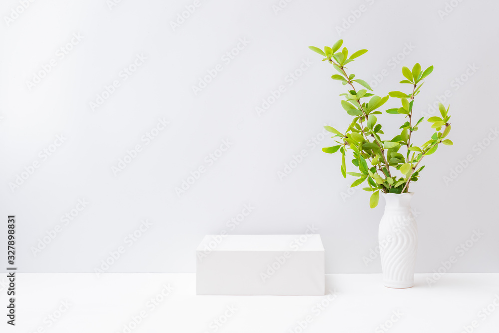 Empty white box and branches with green leaves in a vase on a light ...