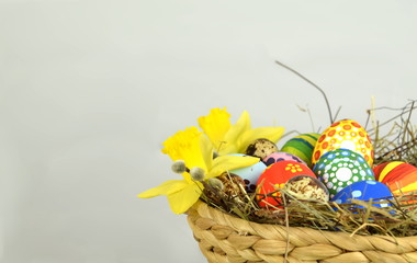 Happy Easter - painted eggs on colored background