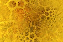 Mysterious Yellow Fractal Pattern. Abstract Background, Theme Fractal Shapes. Suitable For Wallpapers And Posters, Web, Cards, Etc.