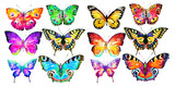 Fototapeta Motyle - beautiful color butterflies, set, watercolor,  isolated  on a white