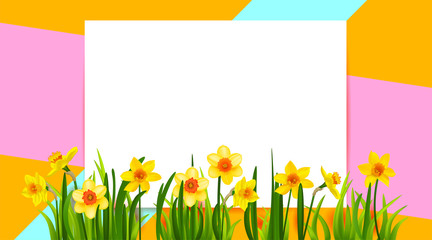 Wall Mural - Floral holiday banner with daffodils