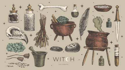 Poster - Large vector set of magic items for the witch, wizard. Ancient symbols of witchcraft: potion, skull of a bird, mystical stones and amulets, knife, bone, crystal, mortar. Wicca and pagan traditions.