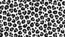 Seamless Leopard Fur Pattern. Fashionable Wild Leopard Print Background. Modern Panther Animal Fabric Textile Print Design. Stylish Vector Black Grey And White Illustration