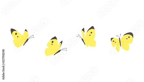 飛ぶ蝶 Stock ベクター Adobe Stock