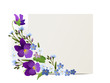 Ornament von Veilchen und Vergissmeinnicht Blumen mit Karte, Vektor Illustration isoliert auf weißem Hintergrund