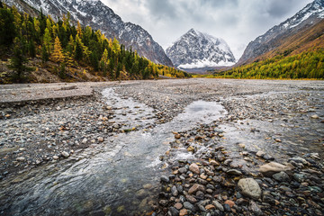 Wall Mural - Autumn Valley of the Aktru River, at the foot of the glaciers of the North Chuysky Range. Kosh-Agachsky District, Altai Republic, Russia