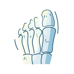 Poster - bones of the foot, body part on white background