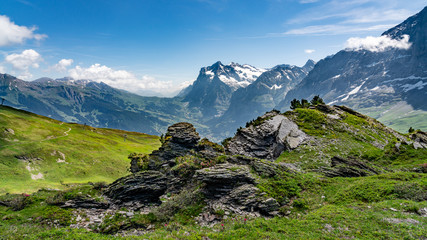 Canvas Print - Switzerland, Panoramic view on Grindelwald valley and Wetterhorn and green Alps around