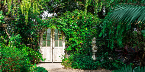 White door with green tree and plant in sunny day in the garden. Natural and fantasy background.