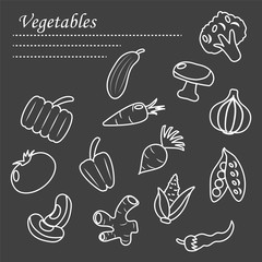 Canvas Print - healthy vegetables icon set, line detail style