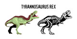 Fototapeta Dinusie - Tyrannosaur Rex Vector Illustration