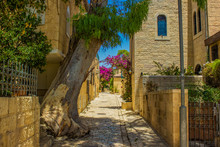 Jerusalem Israel Old City Street Walk Way Passage Back Yard Paved Road Between Stone Buildings Garden Park Outdoor District Without People Here Vivid Colorful Blossom Plants And Flowers Spring Time